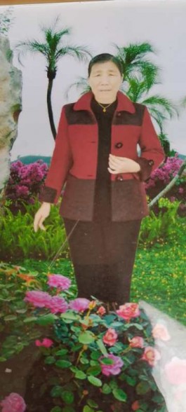 失踪人员：刘伏英